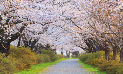 北上市 展勝地