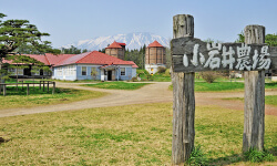 小岩井農場